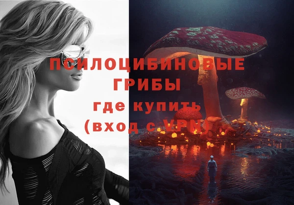 PSILOCYBIN Магадан