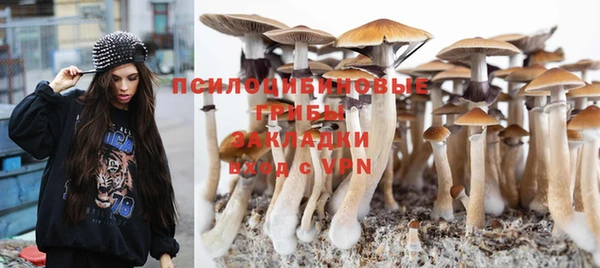 стафф Тайга