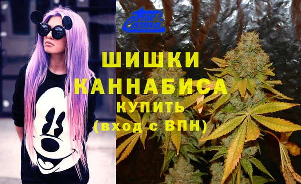 гашиш Магас