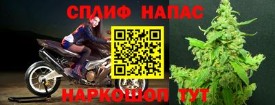 PSILOCYBIN Кимры