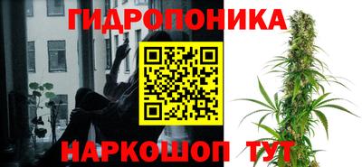 кокаин Кингисепп