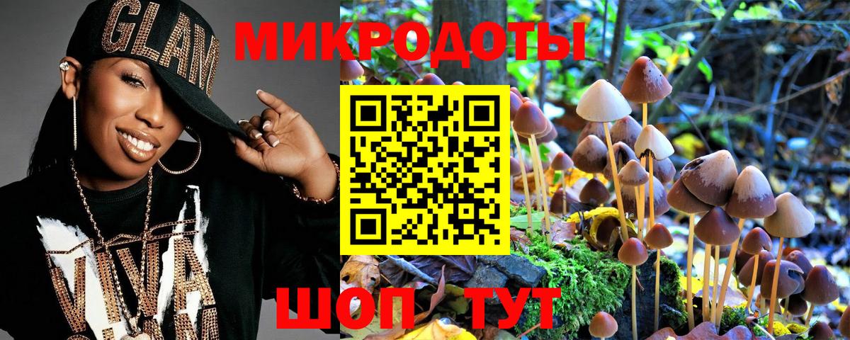 Галлюциногенные грибы Psilocybine cubensis  Обнинск 