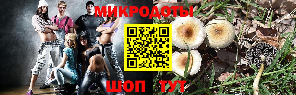 Псилоцибиновые грибы MAGIC MUSHROOMS  Вход с VPN  Галлюциногенные грибы Psilocybe  Обнинск 
